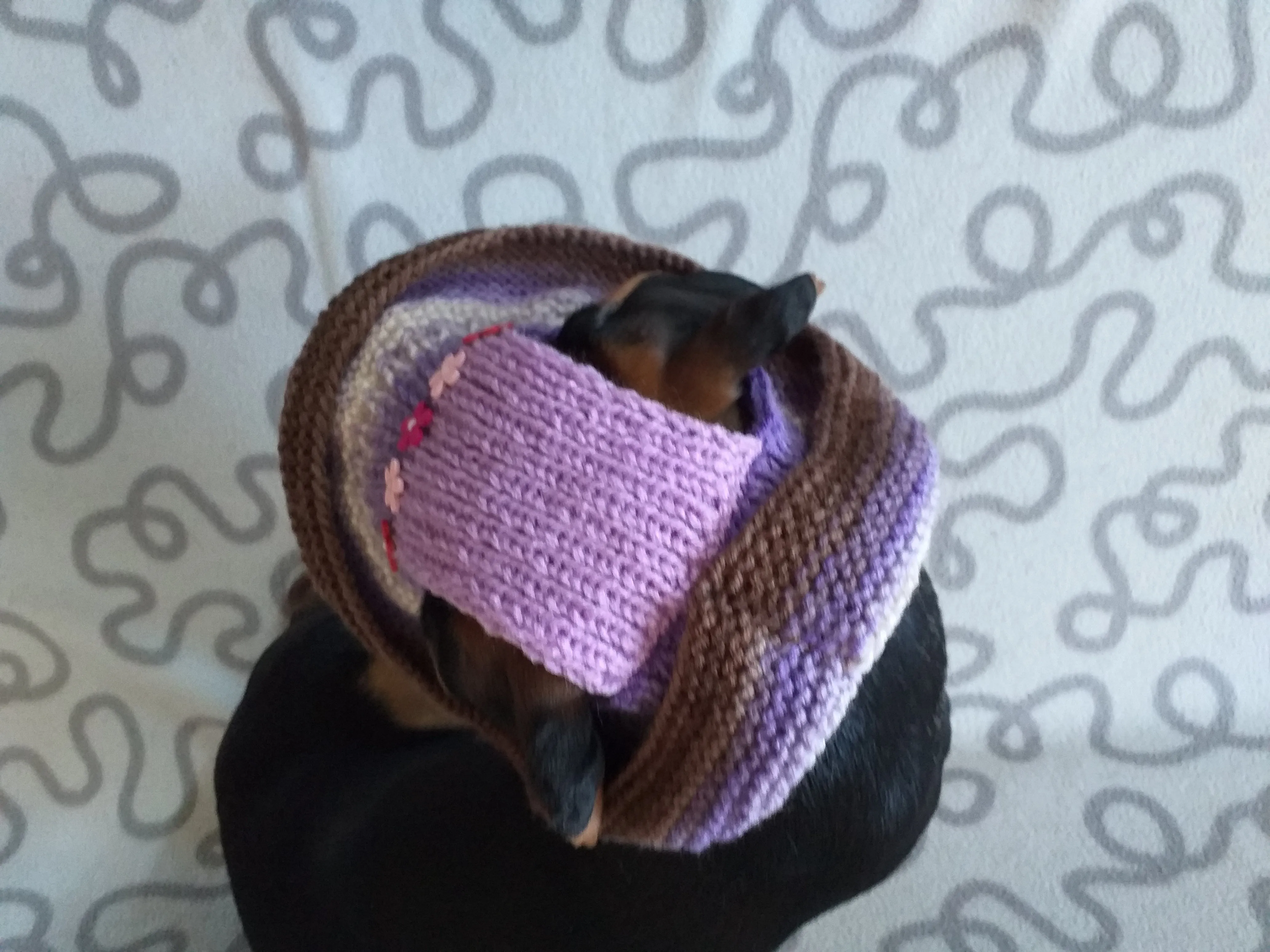 Summer hat panama from the sun with flowers for a dog